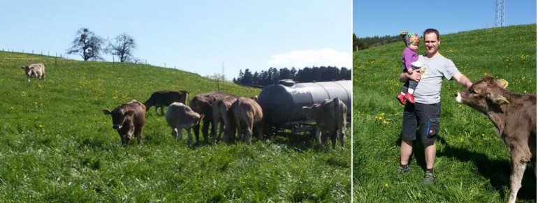 Unsere ersten Sommergäste sind da