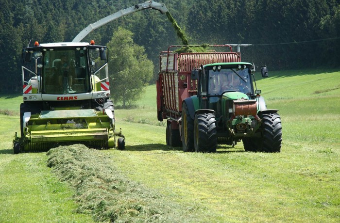 Silieren – hier wird das Gras gehäckselt