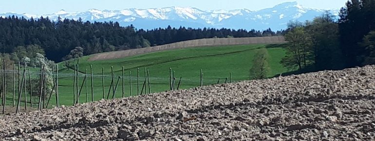 Frühling – was für eine wunderschöne Jahreszeit