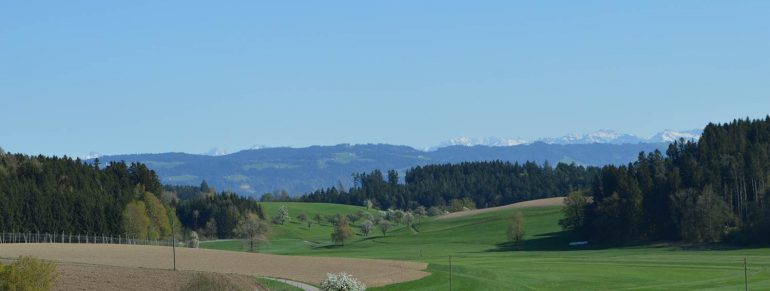 Frühling – was für eine wunderschöne Jahreszeit