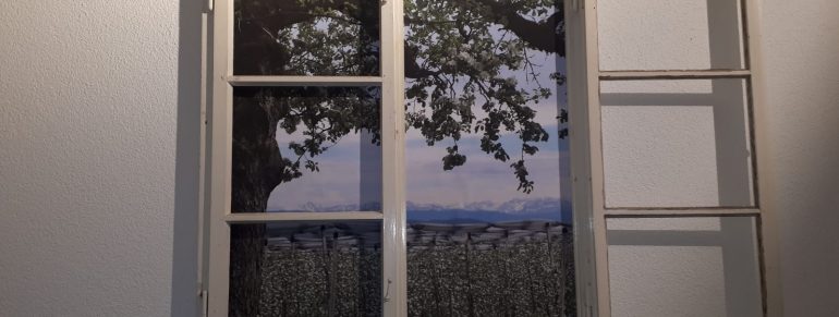 Fenster zum Blütenmeer