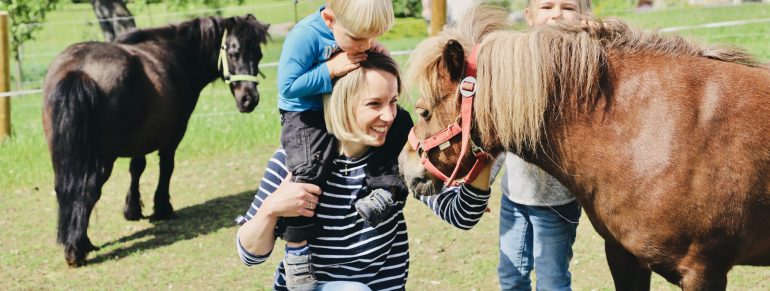 Unsere Ponys lieben Streicheleinheiten