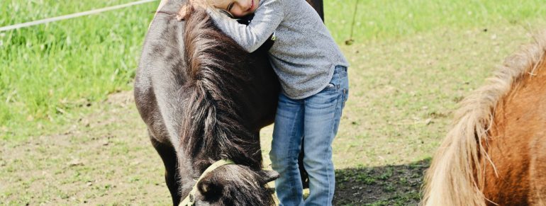 Unsere Ponys lieben Streicheleinheiten