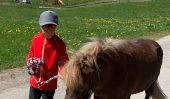 Gästefoto: Bewegung tut den Ponys immer gut