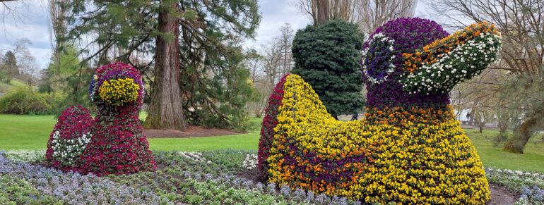 Insel Mainau – da blüht dir was!