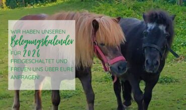 Belegungskalender 2026 ist freigeschaltet