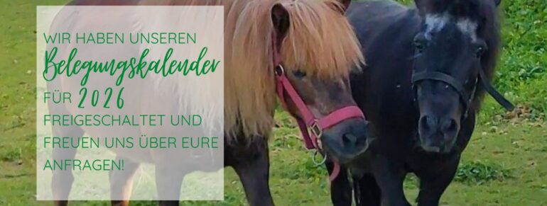 Belegungskalender 2026 ist freigeschaltet