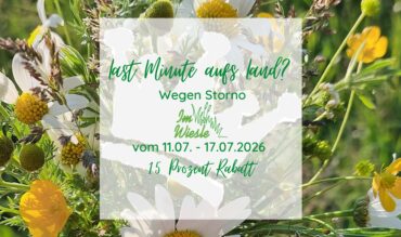 Last Minute auf dem Ferienhof König