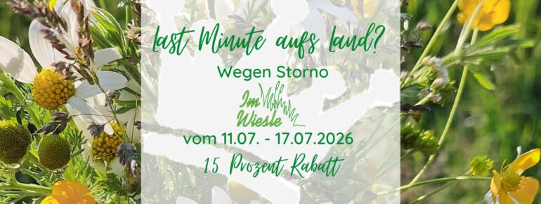 Last Minute auf dem Ferienhof König