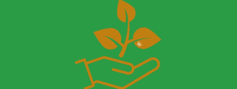 Bautagebuch zur neuen Ferienwohnung