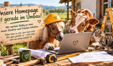 Baustelle Homepage in Angriff genommen