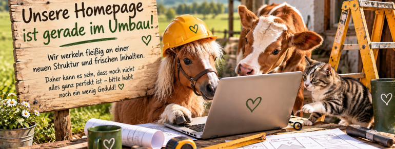 Baustelle Homepage in Angriff genommen
